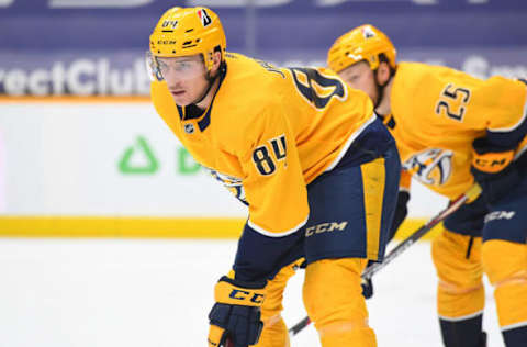 Nashville Predators (Photo Credit: Christopher Hanewinckel-USA TODAY Sports)