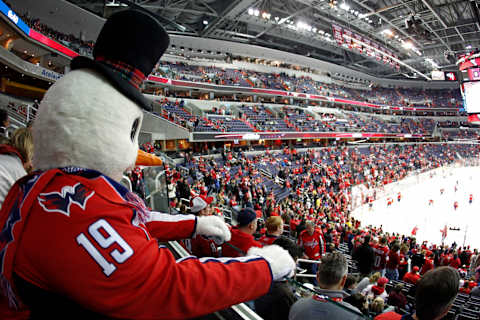 Washington Capitals Mandatory Credit: Geoff Burke-USA TODAY Sports