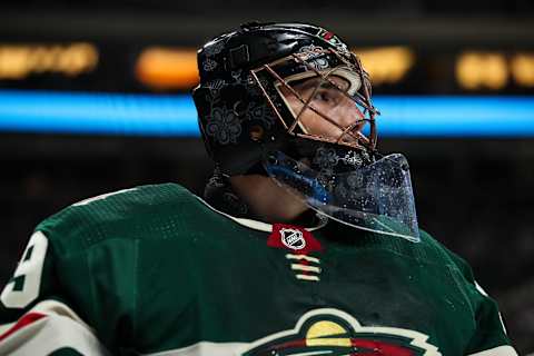 Goaltender Marc-Andre Fleury #29 of the Minnesota Wild (Mandatory Credit: David Berding-USA TODAY Sports)