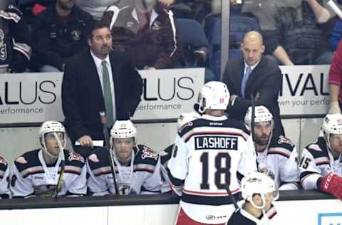 ROSEMONT, IL – MARCH 18: Grand Rapids Griffins head coach Todd Nelson and the bench during an AHL hockey game between the Chicago Wolves and Grand Rapids Griffins on March 18, 2017, at the Allstate Arena in Rosemont, IL. Griffins won 3-2 in overtime. (Photo by Patrick Gorski/Icon Sportswire via Getty Images)