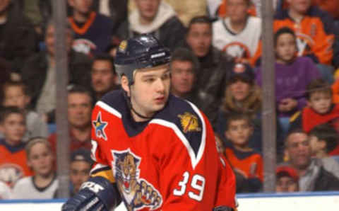 2003 Season: Player Ivan Novoseltsev of the Florida Panthers. (Photo by Bruce Bennett Studios/Getty Images)