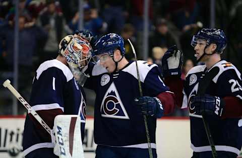 Nov 28, 2015; Denver, CO, USA; Colorado Avalanche goalie 