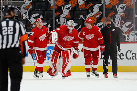 Detroit Red Wings goaltender Jonathan Bernier (45): (Raj Mehta-USA TODAY Sports)