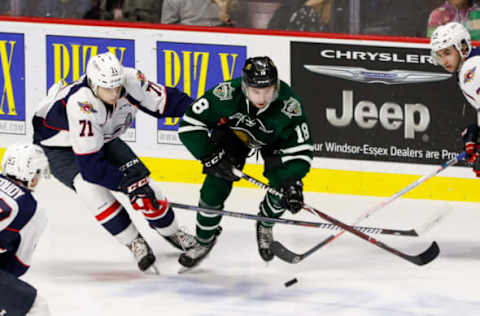 WINDSOR, ON – OCTOBER 04: Forward Liam Foudy #18 of the London Knights moves the puck against defenceman Lev Starikov #71 of the Windsor Spitfires on October 4, 2018 at the WFCU Centre in Windsor, Ontario, Canada. (Photo by Dennis Pajot/Getty Images)