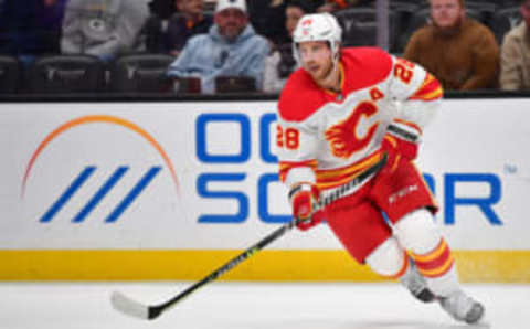 Dec 23, 2022; Anaheim, California, USA; Calgary Flames center Elias Lindholm (28) moves the puck against the Anaheim Ducks during the first period at Honda Center. Mandatory Credit: Gary A. Vasquez-USA TODAY Sports