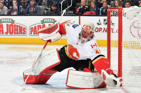 COLUMBUS, OH – NOVEMBER 22: Goaltender Mike Smith