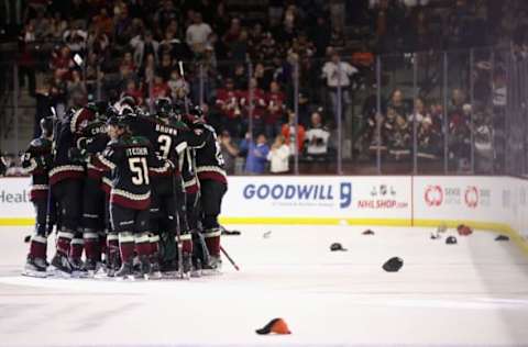 Arizona Coyotes. (Photo by Christian Petersen/Getty Images)