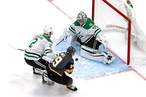 Anton Khudobin #35 of the Dallas Stars (Photo by Bruce Bennett/Getty Images)