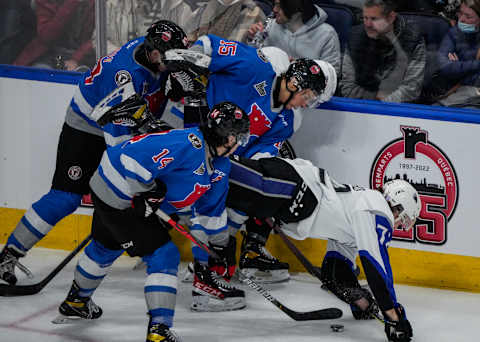 QUEBEC CITY, QC – NOVEMBER 4: Olivier Picard #72 of the Saint John Sea Dogs fall on the ice after being hit against the Quebec Remparts during their Quebec Major Junior Hockey League hockey game at the Videotron Center on November 4, 2021 in Quebec City, Quebec, Canada. (Photo by Mathieu Belanger/Getty Images)