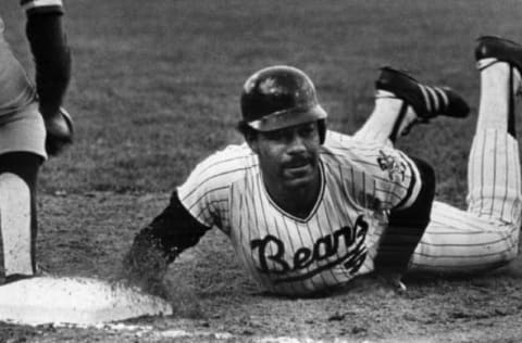 MAY 4 1973; Down, but not Close to Being Out; Cliff Johnson of the Denver Bears dives safely back to first base to thwart a pick-off attempt during Thursday night’s Denver-Evansville game at Mile High Stadium. It was as close as Evansville got to getting Johnson out all night as the Bear slugger got five hits in five trips to the plate, scored five runs and batted in four. Bears resumed play for the first time since Sunday and hommered out 21 hits in defeating Evansville 17-1 for seventh win.; Denver Bears (Action); (Photo By Barry Staver/The Denver Post via Getty Images)