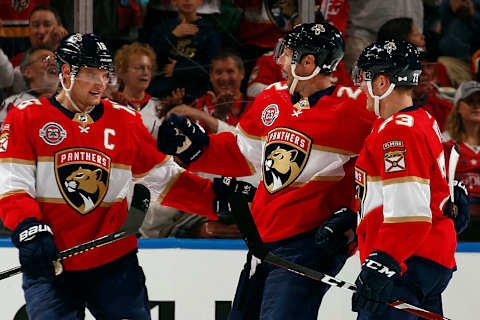 SUNRISE, FL – APRIL 1: Troy Brouwer (Photo by Eliot J. Schechter/NHLI via Getty Images)