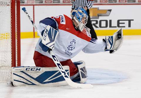 Goalie Lukas Dostal #2 of the Czech Republic (Photo by Rich Lam/Getty Images)