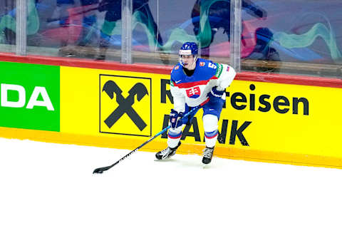 Simon Nemec of Slovakia. (Photo by Jari Pestelacci/Eurasia Sport Images/Getty Images)