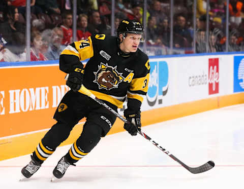 Arthur Kaliyev #34 of the Hamilton Bulldogs (Photo by Chris Tanouye/Getty Images)