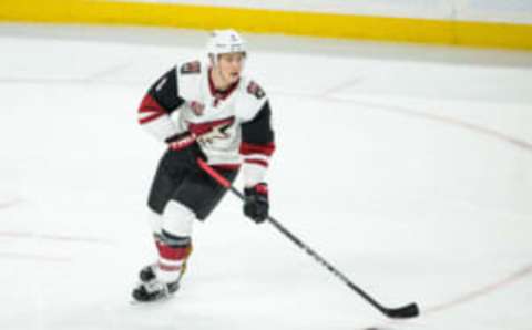 Arizona Coyotes defenseman Jakob Chychrun (6) (Brace Hemmelgarn-USA TODAY Sports)