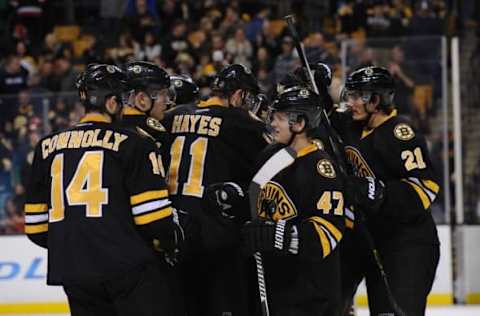 Nov 14, 2015; Boston, MA, USA; Members of the Boston Bruins celebrate their victory over the Detroit Red Wings at TD Garden. Mandatory Credit: Bob DeChiara-USA TODAY Sports