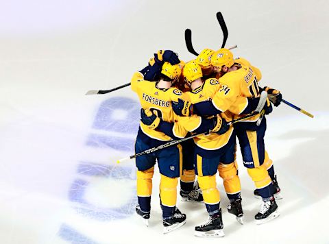 Nashville Predators (Photo by Jeff Vinnick/Getty Images)