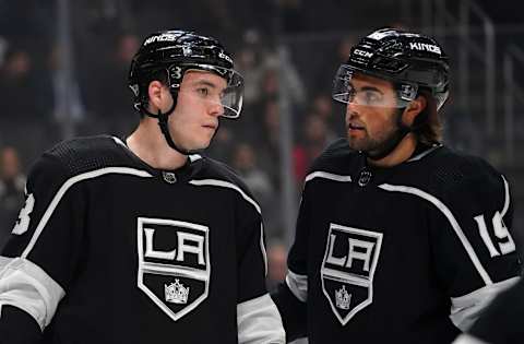 Los Angeles Kings left wing Alex Iafallo (19): (Kirby Lee-USA TODAY Sports)