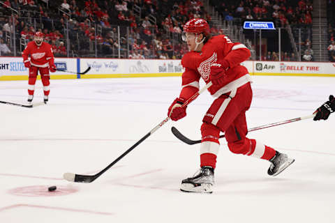 Mortiz Seider of the Detroit Red Wings. (Photo by Gregory Shamus/Getty Images)