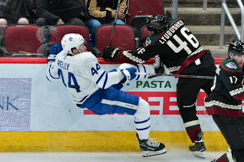 Feb 16, 2019; Glendale, AZ, USA; Arizona Coyotes defenseman Ilya Lyubushkin  y Credit: Matt Kartozian-USA TODAY Sports