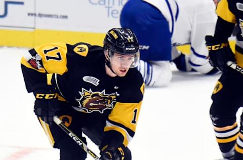 MISSISSAUGA, ON – DECEMBER 10: Brandon Saigeon #17 “”iv”” controls the puck against the Mississauga Steelheads during game action on December 10, 2017 at Hershey Centre in Mississauga, Ontario, Canada. (Photo by Graig Abel/Getty Images)