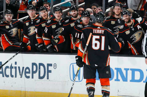 ANAHEIM, CA – FEBRUARY 27: Troy Terry #61 of the Anaheim Ducks celebrates with the bench after scoring a third-period goal against the Chicago Blackhawks during the game at Honda Center on February 27, 2019 in Anaheim, California. (Photo by Debora Robinson/NHLI via Getty Images)