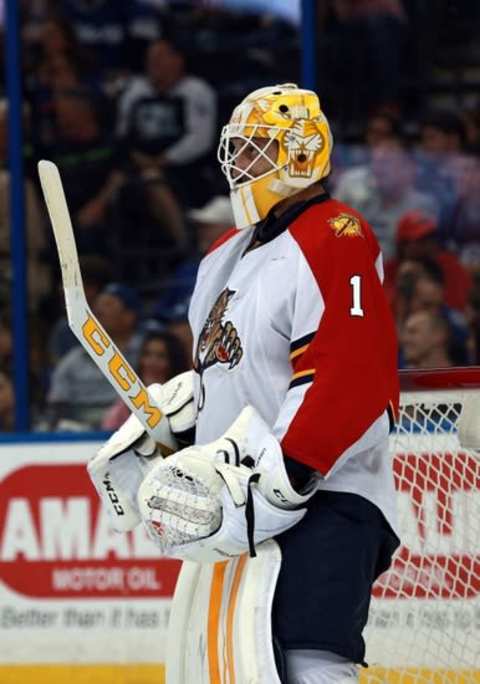 Mar 26, 2016; Tampa, FL, USA; Florida Panthers goalie Roberto Luongo (1) during the second period at Amalie Arena. Mandatory Credit: Kim Klement-USA TODAY Sports