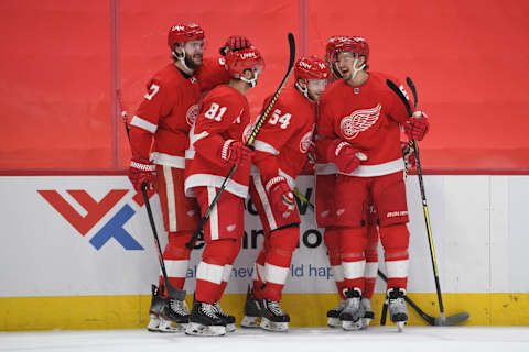 Detroit Red Wings right wing Bobby Ryan (54). Mandatory Credit: Tim Fuller-USA TODAY Sports