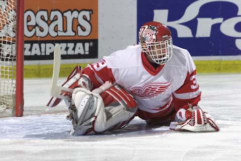 Dominik Hasek (#39), Detroit Red Wings (Photo by Tom Pidgeon/Getty Images/NHLI)