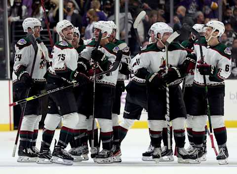 LOS ANGELES, CALIFORNIA – NOVEMBER 21: Arizona Coyotes (Photo by Harry How/Getty Images)