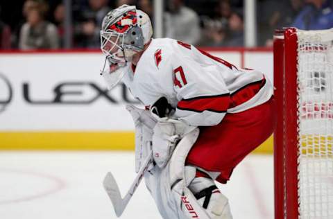 James Reimer, Carolina Hurricanes. (Photo by Matthew Stockman/Getty Images)