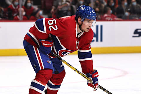 Nov 29, 2021; Montreal, Quebec, CAN; Montreal Canadiens Artturi Lehkonen. Mandatory Credit: Jean-Yves Ahern-USA TODAY Sports