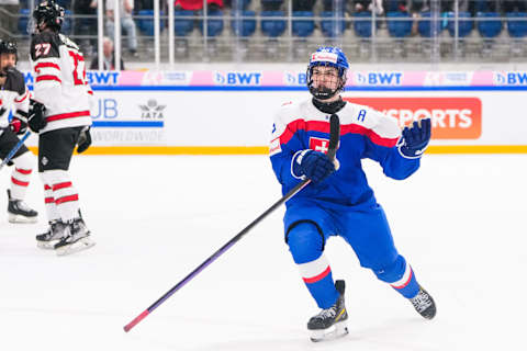 Dalibor Dvorsky (Photo by Jari Pestelacci/Eurasia Sport Images/Getty Images)