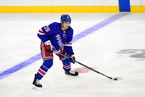 Libor Hajek #25 of the New York Rangers. (Photo by Emilee Chinn/Getty Images)