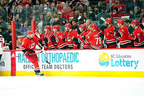 Carolina Hurricanes right wing Nino Niederreiter (21): (James Guillory-USA TODAY Sports)