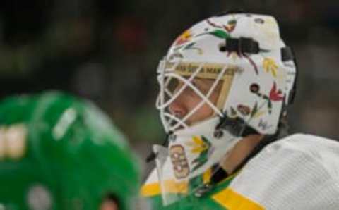 Nov 24, 2023; Saint Paul, Minnesota, USA; Minnesota Wild goalie Marc-Andre Fleury (29) wears his Native American Heritage mask in warmups before a game against the Colorado Avalanche at Xcel Energy Center. Mandatory Credit: Nick Wosika-USA TODAY Sports