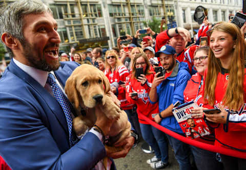 WASHINGTON, DC – OCTOBER 5: Washington Capitals left wing Alex Ovechkin (8) walks the red carpet with “Captain” the team dog. The Capitals partnered with America’s VetDogs, a New York based non-profit that provides service dogs to veterans and first responders with disabilities, to train a future service dog during opening night at Capital One Arena. (Photo by Jonathan Newton / The Washington Post via Getty Images)