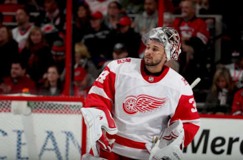 RALEIGH, NC – FEBRUARY 2: Petr Mrzek #34 of the Detroit Red Wings skates toward the bench during a time out of an NHL game against the Carolina Hurricanes on February 2, 2018 at PNC Arena in Raleigh, North Carolina. (Photo by Gregg Forwerck/NHLI via Getty Images)