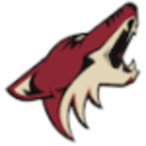 Arizona Coyotes