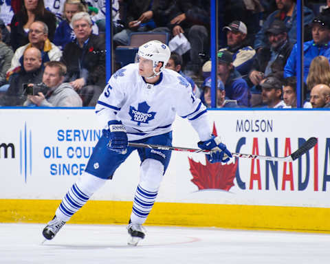 EDMONTON, AB – OCTOBER 29: Paul Ranger #15 of the Toronto Maple Leafs skates against the Edmonton Oilers during an NHL game on October, 29, 2013 at Rexall Place in Edmonton, AB, Canada. (Photo by Derek Leung/Getty Images)