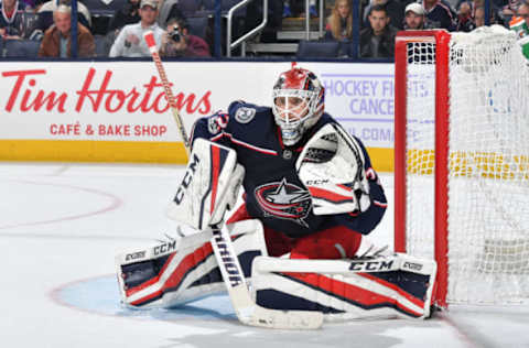 COLUMBUS, OH – OCTOBER 27: Goaltender Sergei Bobrovsky