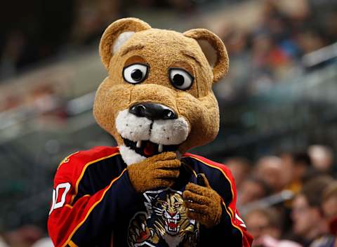 Florida Panthers (Photo by Joel Auerbach/Getty Images)