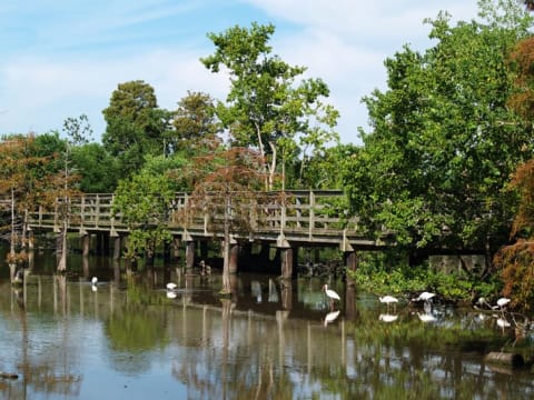 A footbridge over Lafreniere Park in Metairie