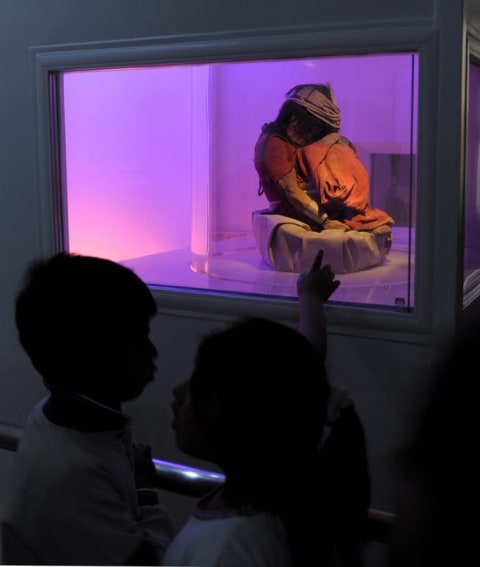 School children look at one of the mummies found in the Llullaillaco volcano, on display at the High Mountain Archaeology Museum in Salta, Argentina.