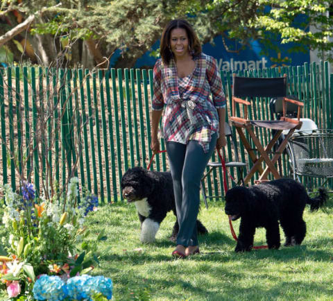 First Lady Michelle Obama walked Bo (left) and Sunny Obama at the 2014 Easter Egg Roll at the White House.