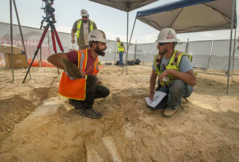 Joe Sertich, curator of dinosaurs at the Denver Museum of Nature & Science, speaks with a construction worker while leading the excavation in Thornton, Colorado of a newly discovered triceratops skeleton.