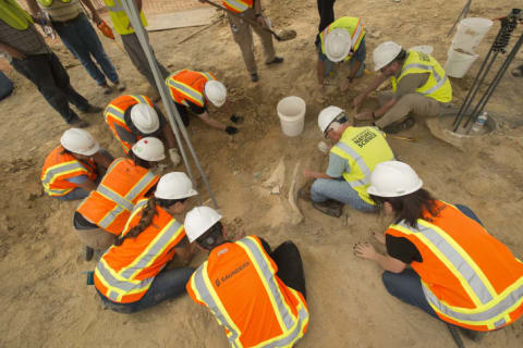 Museum staff, construction staff, and museum volunteers work to excavate the skeleton on August 30, 2017.