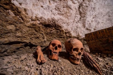 Skulls and bone remains placed next to a wooden sacrophagus.