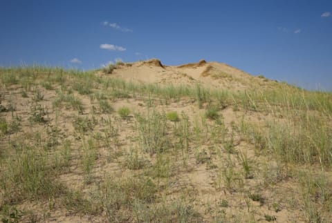 Sand Hills in Kansas.