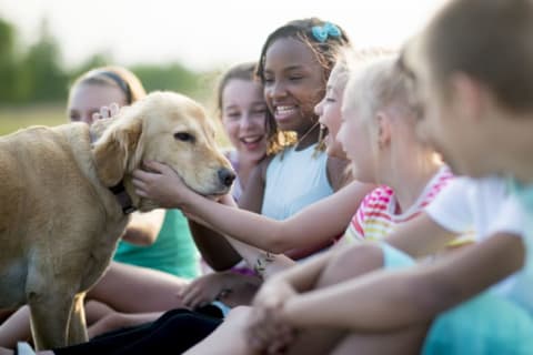 A group of kids petting a dog.